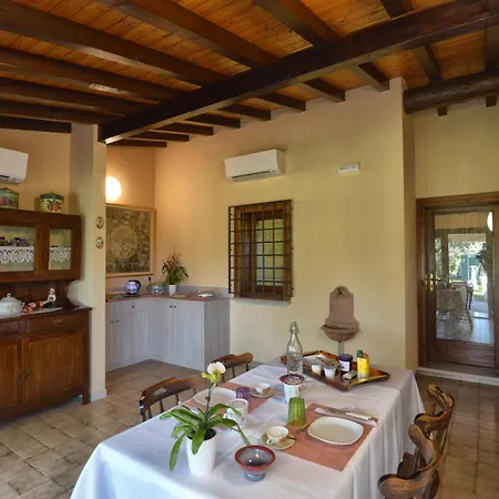 Le Orchidee Di Corazza Picedo
