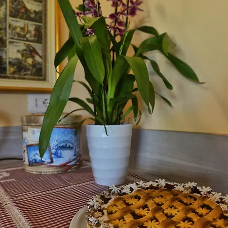 Le Orchidee Di Corazza *